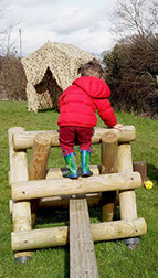 photo showing dragonflies playing outdoors at Longscroft