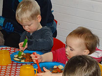 photo showing dragonflies feeding themsleves at Longscroft