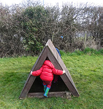 photo of dragonflies playing outside at Longscroft